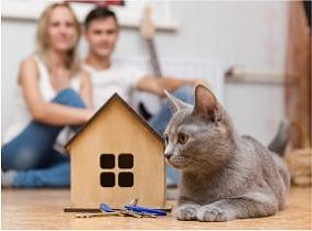 Банки начали принимать заявки на льготную ипотеку под 6,5 % Банки начали принимать заявки на льготную ипотеку под 6,5 %